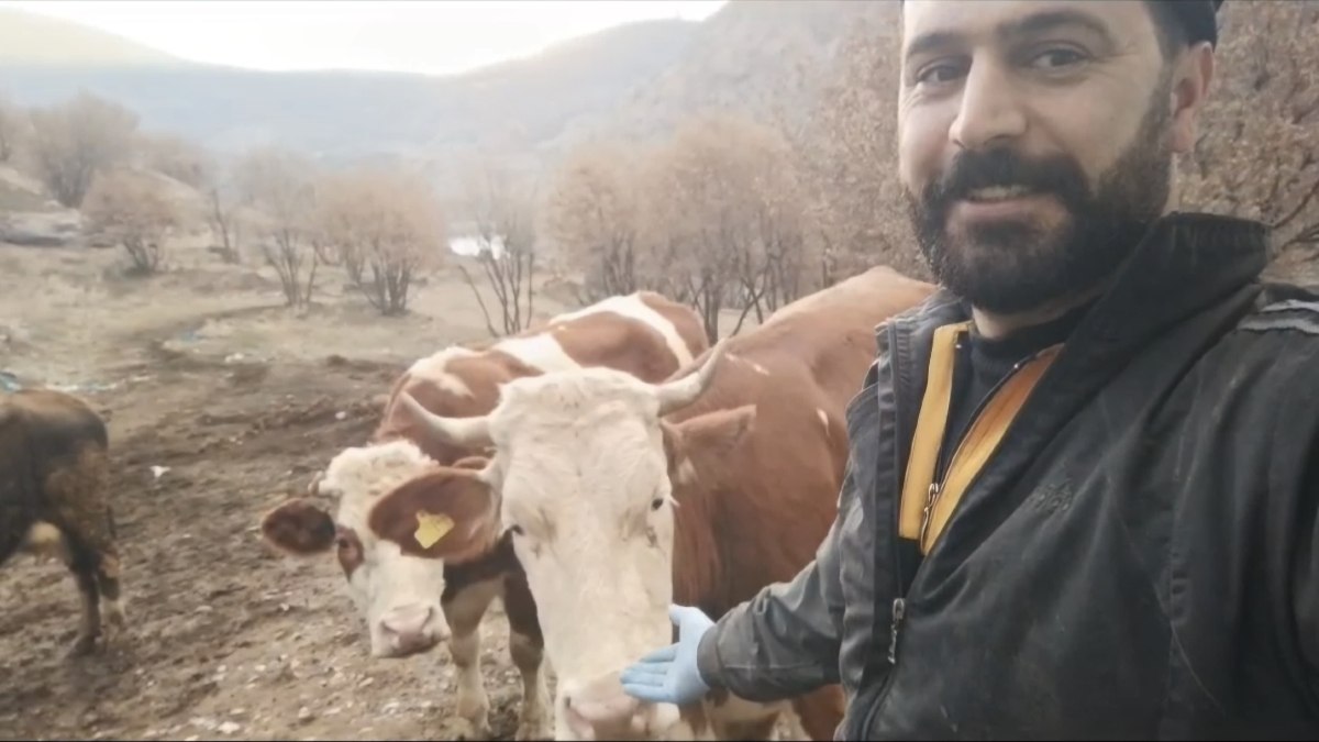 Elazığ’da besicinin inekleriyle olan dostluğu gülümsetti