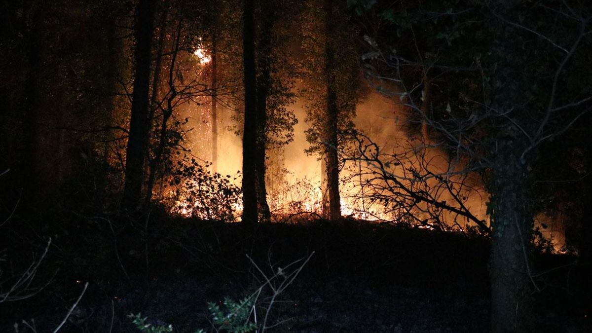 Fransa’daki yangında Paris’ten daha büyük bir alan yok oldu